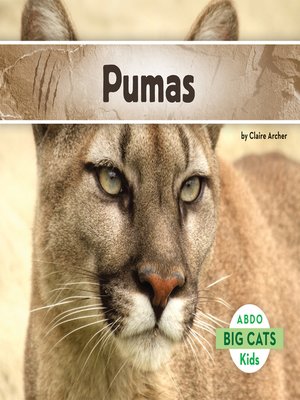 cover image of Pumas